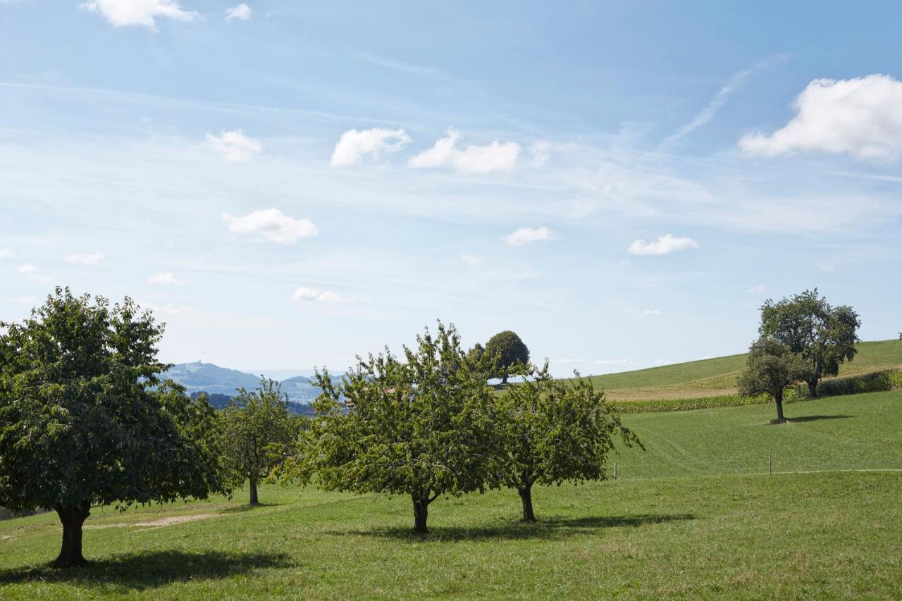 Bio Garni Moeschberg Ξενοδοχείο Grosshochstetten Εξωτερικό φωτογραφία